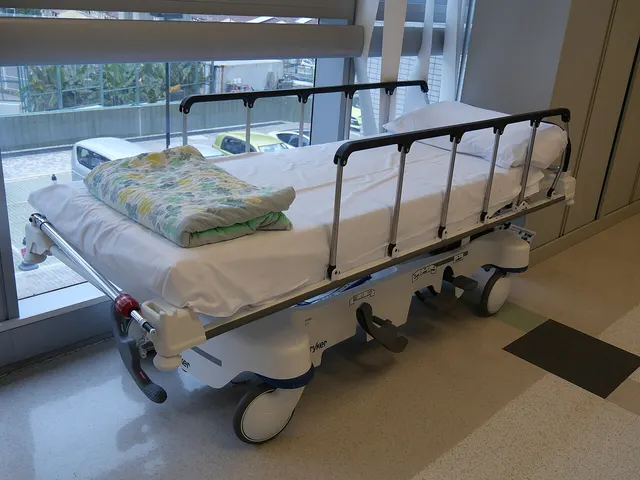 Hospital bed with mattress — adjustable