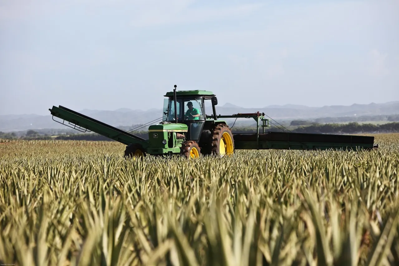 Tractor with rotavator — driver included